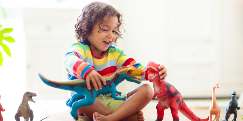 The Power of Play in Building Early Literacy Skills